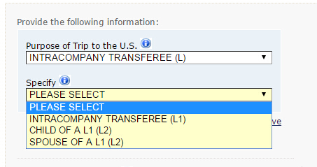 L2的签证类型.jpg
